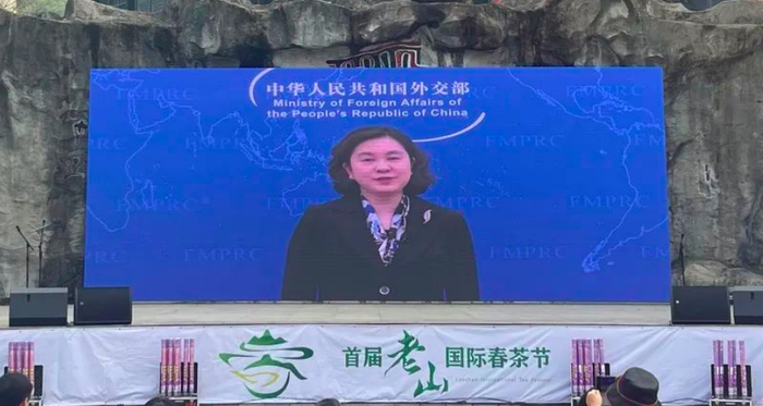 外交部部长助理华春莹视频致辞
