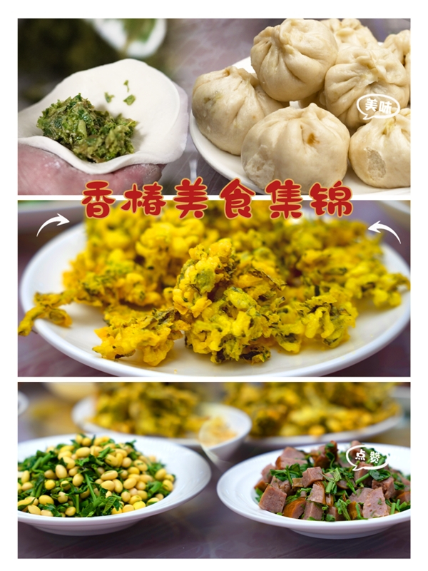 小小香椿大梦想，三产融合促发展