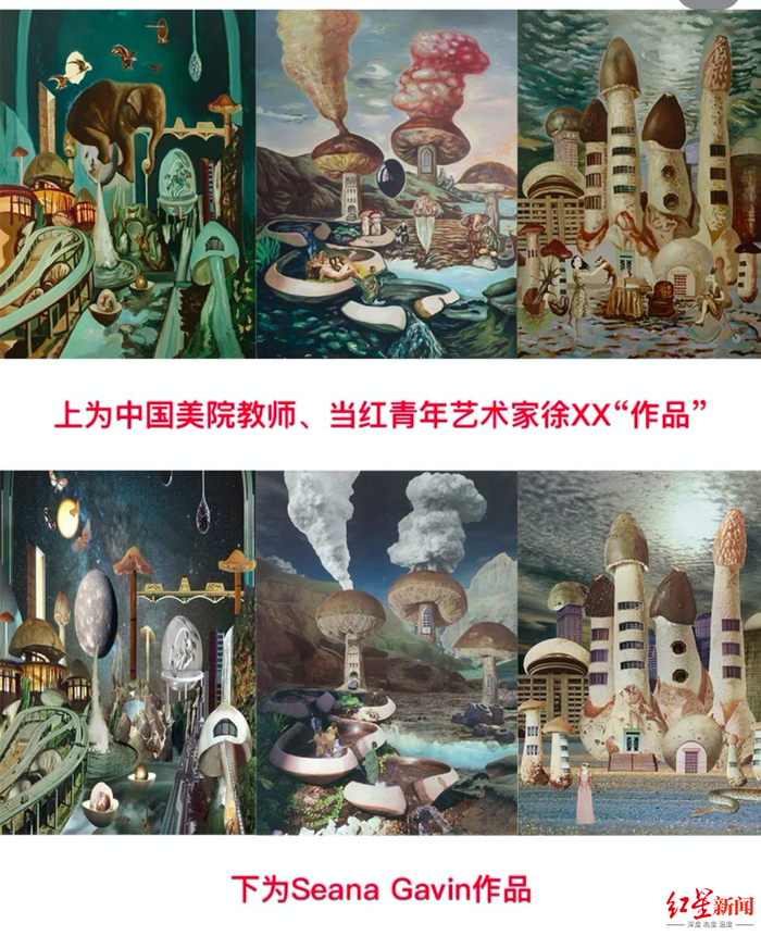 ↑网友对比英国艺术家Seana Gavin与徐跋骋的作品 据网络截图