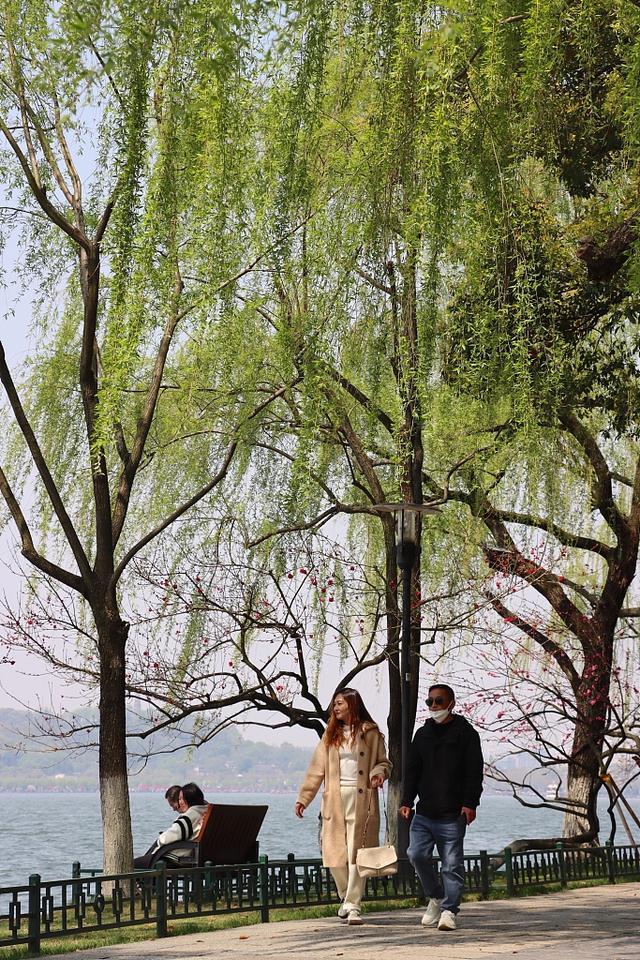 ▲杭州西湖景区。