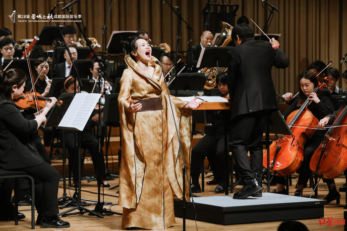 龚琳娜演出现场（资料图）