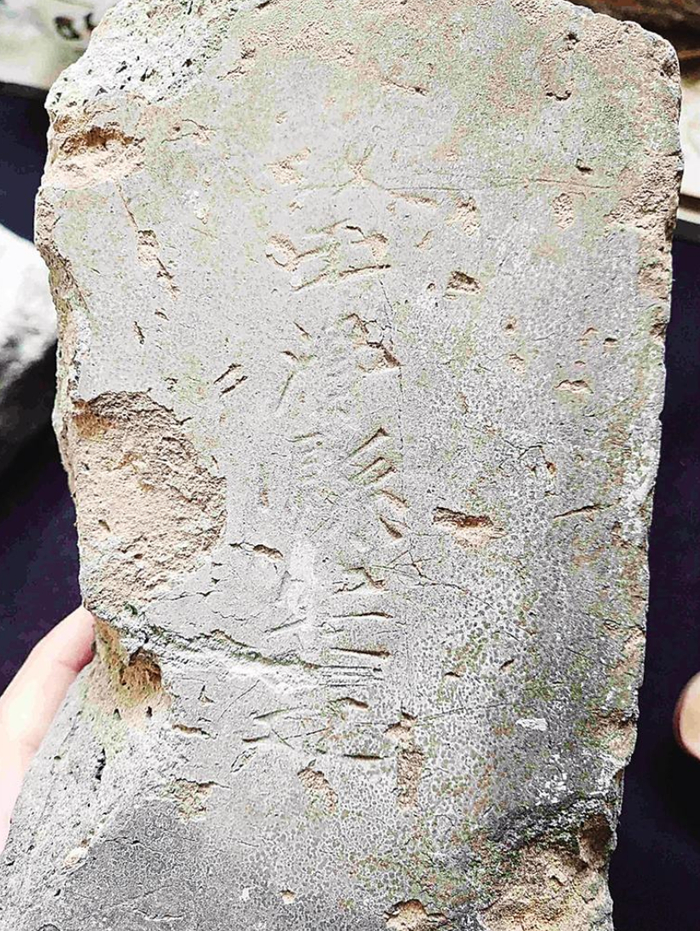 南川楼沉船出土文物