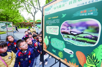 “爱鸟周”上，孩子们兴致勃勃地学习鸟类科普知识。 南京日报/紫金山新闻记者 段仁虎 摄 