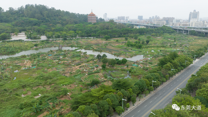 ▲学校地块现状