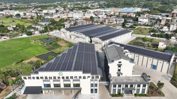 位于蕉岭的省级丝苗米现代农业产业园 汪敬淼摄