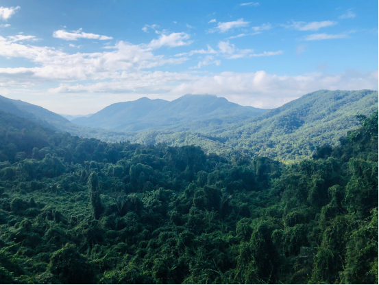 在白石潭景区观景台看霸王岭
