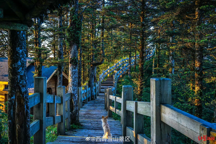 ▲图据@西岭雪山