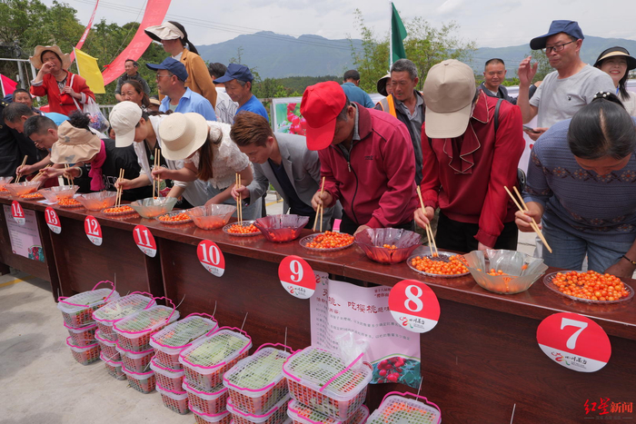 ↑樱桃节活动现场