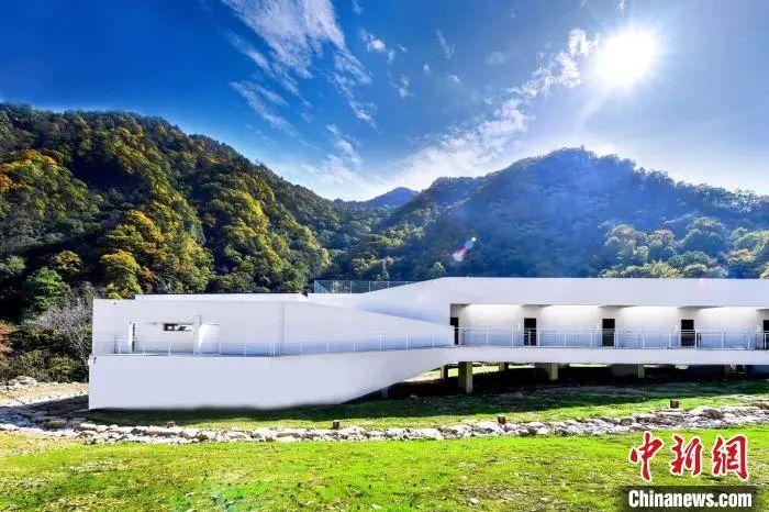 图片来源：中新网