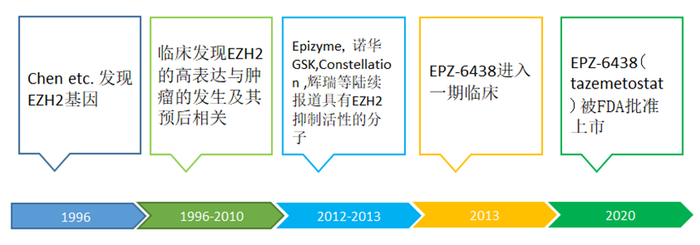  Tazverik的研发时间线