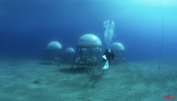 ↑尼莫花园外部