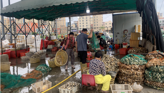 潘涂海蛎集散市场村民们正在清洗海蛎剥海蛎肉。王玉松 摄