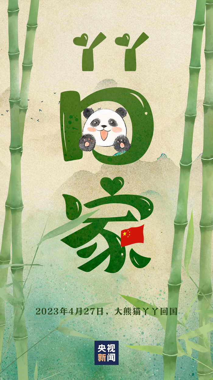 “丫丫”赴美时也是搭乘联邦快递