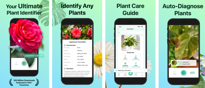 PictureThis 应用商店截图