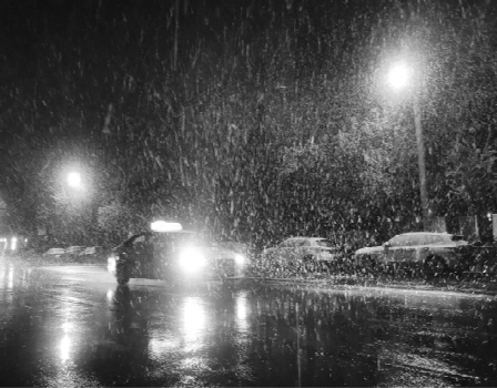         昨日0时30分，雨雪天气再次光临沈城。急促的雪花在空中飞舞，上演一场四月飞雪的独特景象。辽沈晚报记者 白琳 摄