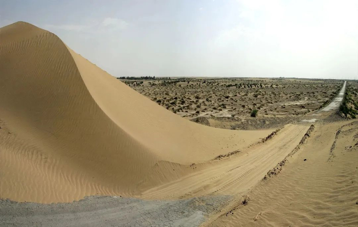 一场风沙后，沙山就会向前移动。王文明 摄（文中图片均为2006年-2013年间拍摄）