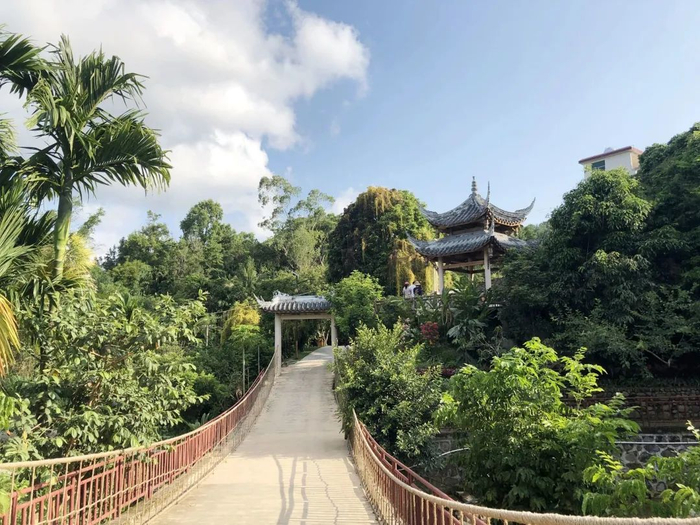 资料图：毛纳村内一景。