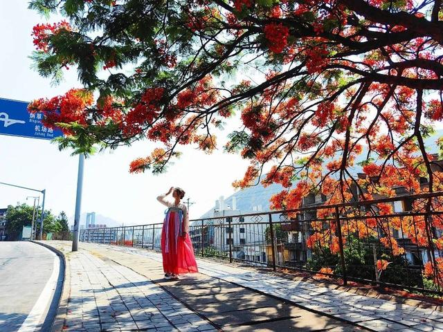 五一假期到四川攀枝花 多个“大红大紫”的文旅活动和旅游线路等着你_手机新浪网