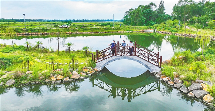 资料图：在临高县东英镇的龙潭神雨景区，游人在湖边赏景。记者 陈元才 摄