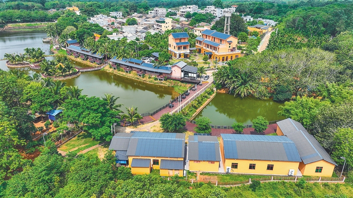 资料图：澄迈县大丰镇才存村共享农庄。