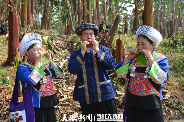 册亨县布依族演奏木叶。韦欢 摄