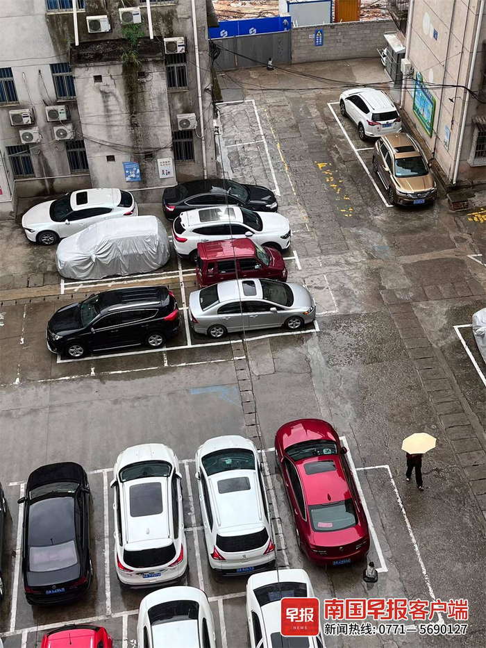 ▲市民撑着雨伞在雨中出行。南国早报全媒体 刘颖 摄