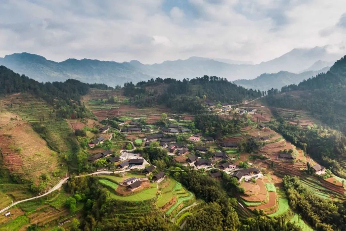 ▲远眺龙山桐花寨。（龙山县委宣传部供图）