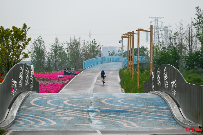 ▲市民在环城生态区的绿道骑行