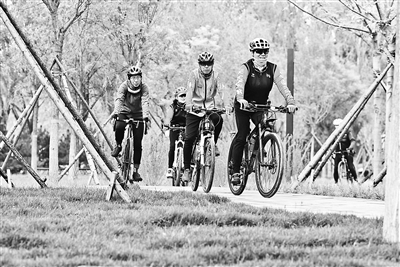 摄影/本报记者  袁艺