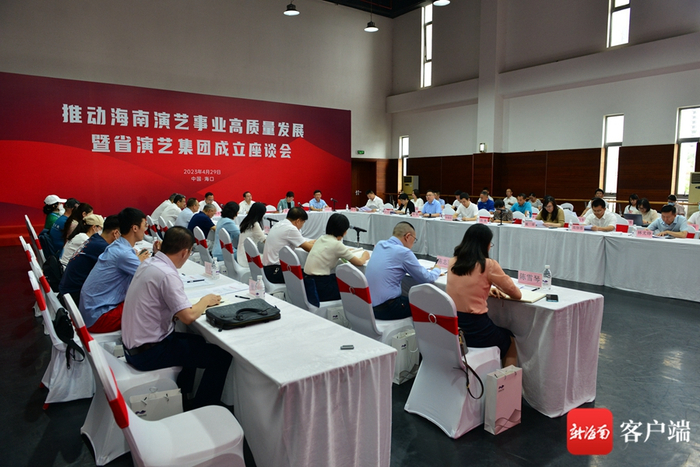 推动海南演艺事业高质量发展暨省演艺集团成立座谈会现场。记者 陈卫东 摄