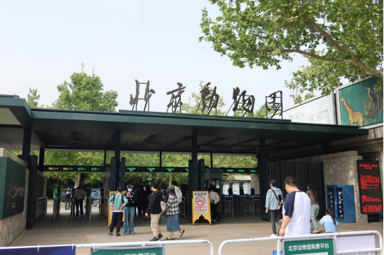 图说：北京动物园。本文图片除特别说明外均由陈丽娜拍摄