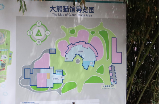 图说：大熊猫馆馆内有奥运熊猫馆和亚运熊猫馆两个场馆。