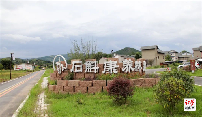 甘御兰石斛林盘景区