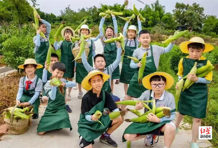 成都向东耕学田园