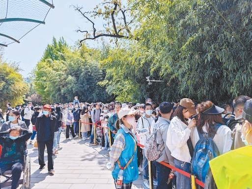 “萌兰”运动场外排起长队