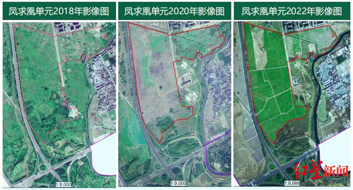 ▲凤求凰都市现代农业示范区卫星对比图
