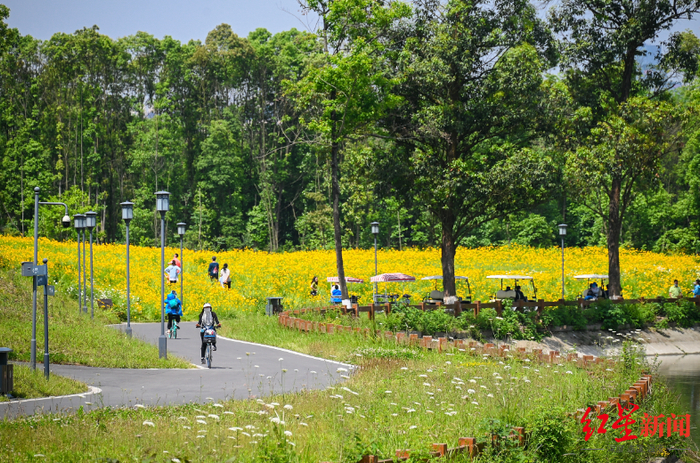 ▲市民在环城生态区骑行