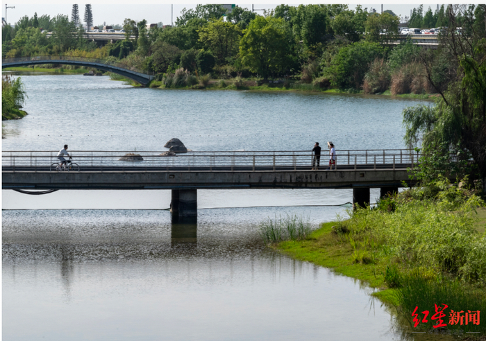 ▲锦城湖边骑行的市民