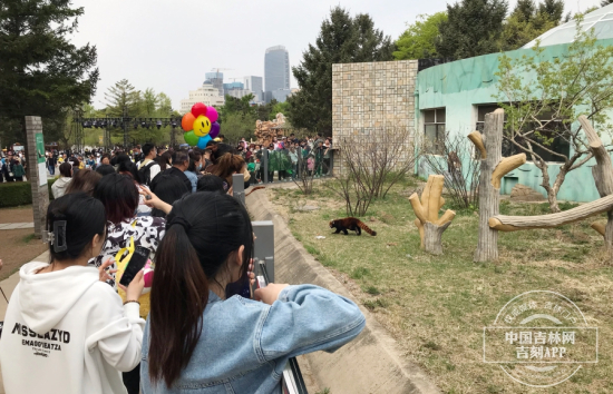 长春市动植物公园游园人数创纪录 中国吉林网 罗浩摄