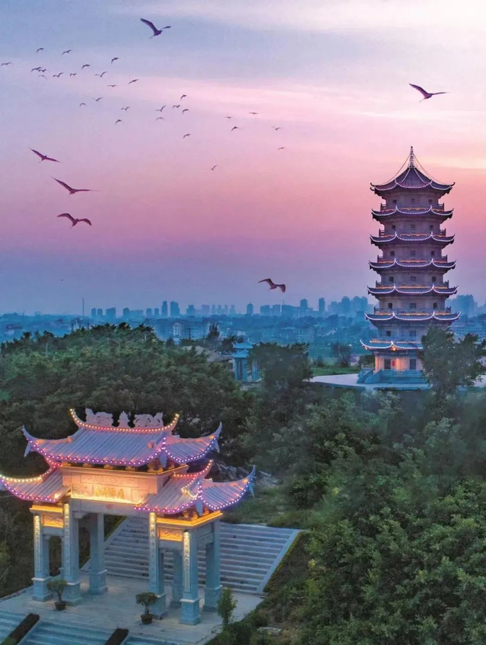 雁阵归舟（摄影/蔡昊）