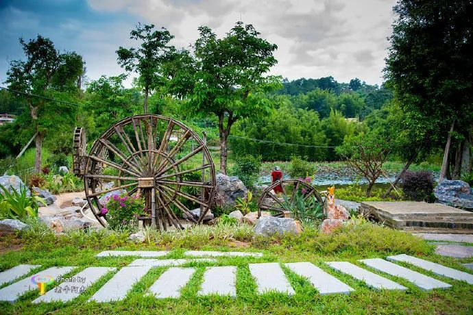 △台洞湿地公园。老牛阿杰 摄