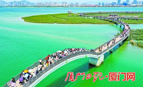 　　位于翔安的下潭尾滨海湿地公园迎来了大量游客。 （本报记者 王火炎 航拍器摄）