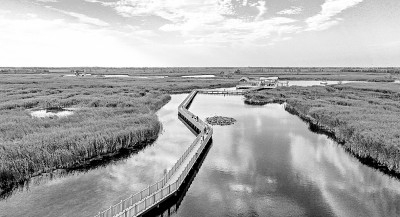     从某一地域上普通人的奋斗展现历史变迁，特别是反映新时代发生的历史性变革，成为作家们的自觉追求。图为白洋淀。 资料图片