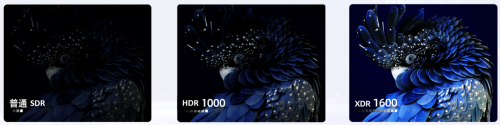 不同动态范围显示对比效果