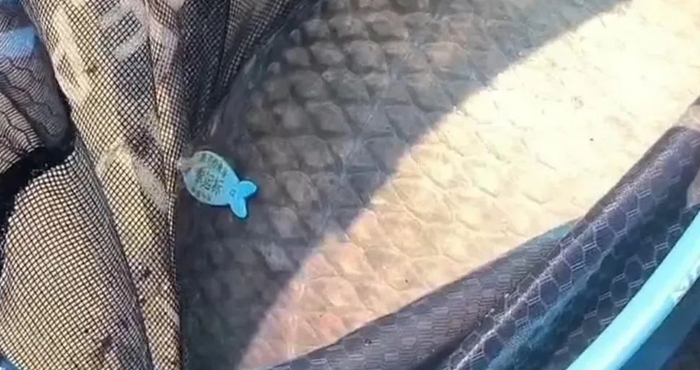 （图片来源：广东广播电视台）