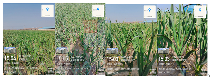 数据来源：钢联数据