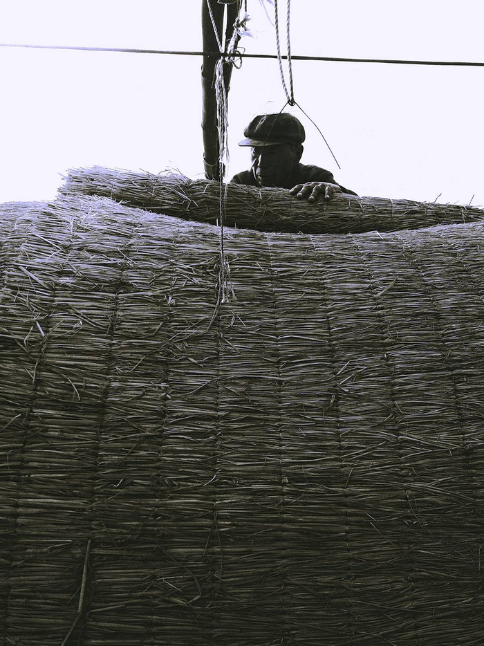 “严肃的虾米”摄影作品  受访者供图