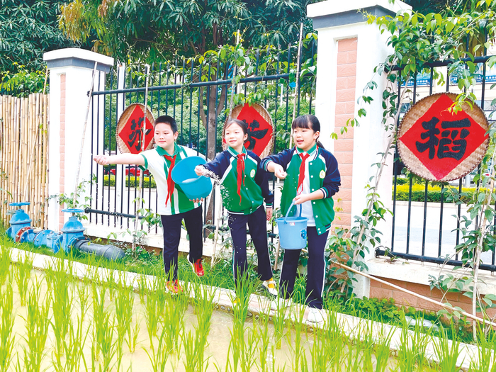     南宁市兴桂集团开辟芬芳稻作园等校内劳动基地，学生们正为秧苗施肥