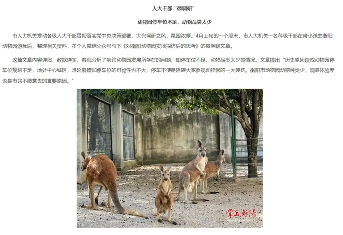 衡阳市人民政府网站刊登的《衡阳市动物园该“动大手术”了》文章截图