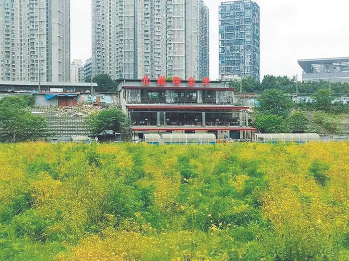     主席台开起了烧烤店